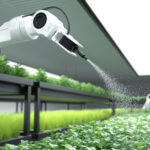 AGTECH: La Revolución que Impulsa al Campo Argentino al Liderazgo Global. smart robotic farmer spraying fertilizer on vegetable green plan