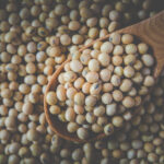 soy beans