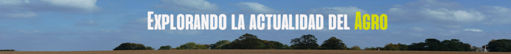 banner final3