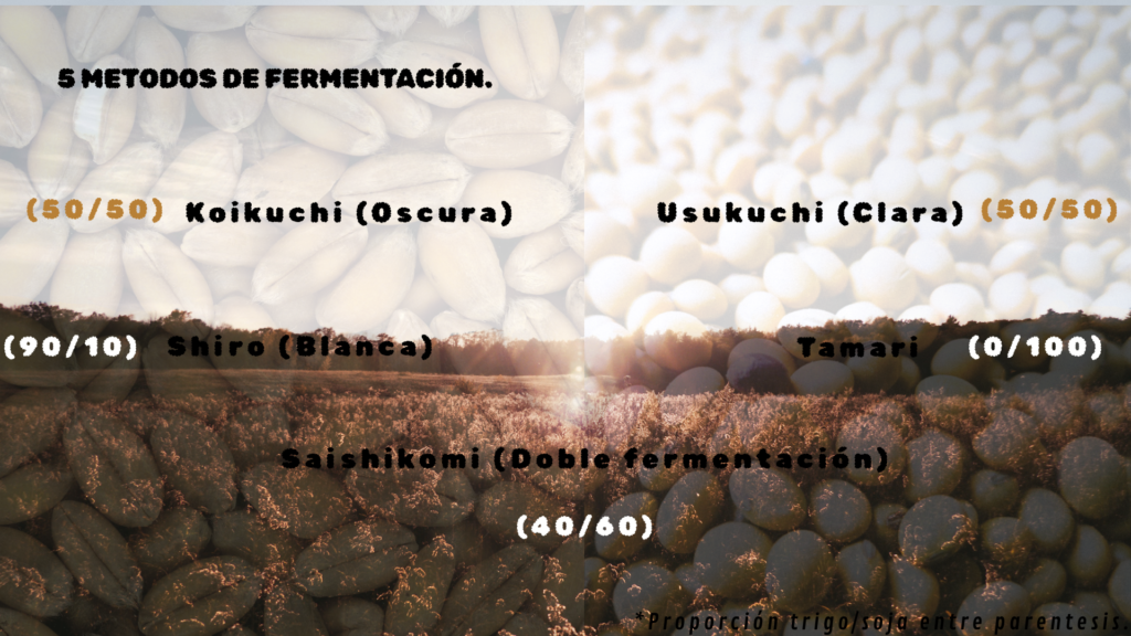 ingredientes para producir salsa de soja (3)