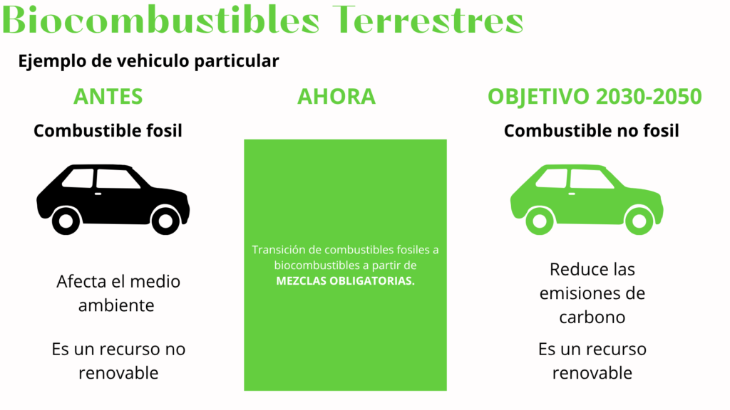 biocombustibles imagen 3