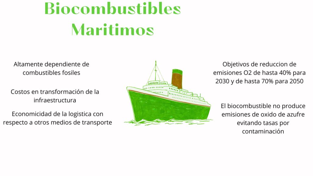 biocombustibles imagen 4